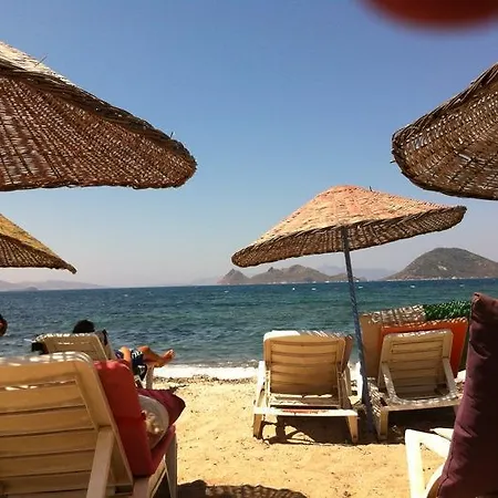 Sun And Sea 3*
