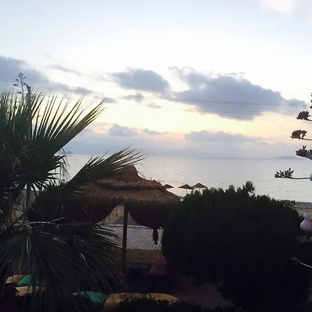 Sun And Sea מלון 3*